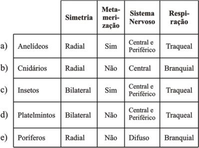 (UFV MG) A figura representa o ciclo de vida do mosquito Aedes aegypti, com as suas respectivas fases de desenvolvimento indicadas (I - ovo, II a VI - fases aquáticas e VII - fase adulta).