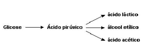 (Uerj) Algumas etapas metabólicas encontradas no citoplasma das células hepáticas de mamíferos Cite as duas etapas, dentre as representadas, que são estimuladas pela ação da insulina. 7.