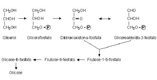 Profissionais que atuam na área de Fisioterapia Dermato-funcional têm demonstrado a eficácia no tratamento de gordura localizada pela aplicação de ultrassom em células adiposas do tecido subcutâneo.