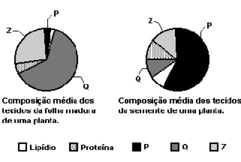 b) Aponte uma substância sintetizada a partir do colesterol em nosso organismo, não caracterizada como hormônio, e sua respectiva função. 17. (Unifesp) Analise os gráficos seguintes.