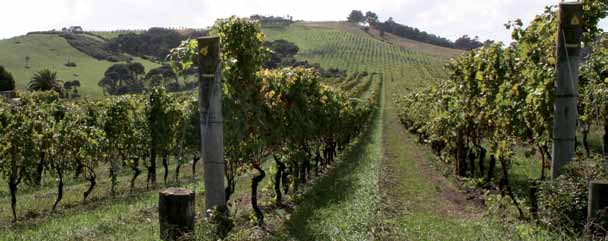 Grand Cru 2013 ITÁLIA Abruzzo Abruzzo situa-se na região central da Itália. Uma região de paisagens belíssimas, além de uma clima propício para a vitivinicultura.