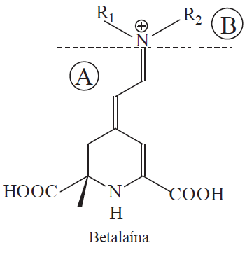 37 permitido em alimentos e bebidas, a beterraba representa a principal fonte comercial da betalaína (concentrado ou pó), sendo restrito o uso da betanina como corante natural, por apresentar uma
