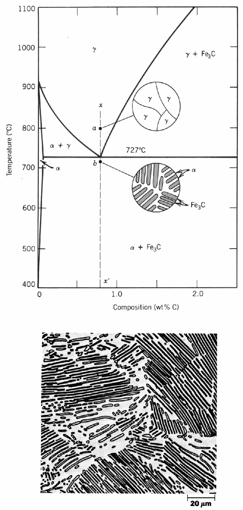 RESFRIAMENTO LENTO DE UM AÇO EUTETÓIDE Diagrama Fe-C 6 Para a temperatura ambiente, (0,77% de C) temos:,77 % α (ferrita) =.