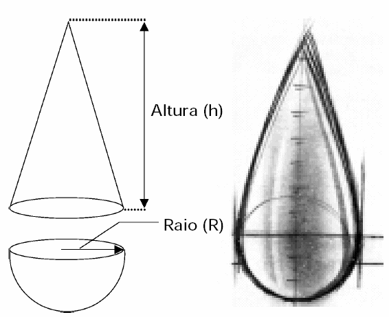 Calcule o valor de C x para a gota de chuva considerando que a velocidade limite em sua queda é de 5m/s.