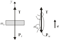 b) a aceleração do macaco e c) a tração na corda?