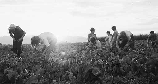 fecunda a Terra de modo que produzisse fruto. Ambos produziriam vida com suor e lágrimas, e Adão não foi privilegiado. Embora sua dor não fosse tão intensa quanto a dela, ela seria mais prolongada.