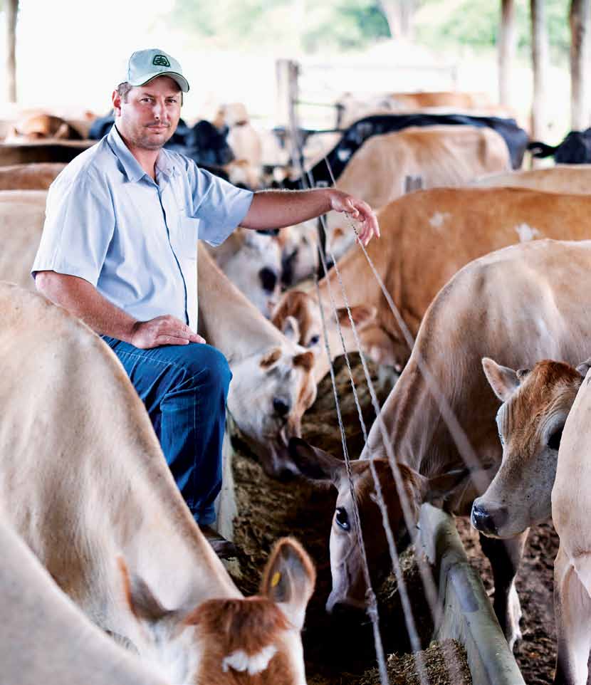 O produtor Marco Antônio Bordin, fornecedor de leite da Nestlé/DPA, teve sua fazenda, uma das mais equipadas de Guararapes, em São