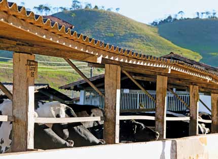 Tecnologia no campo PDPL VIÇOSA Início 1988 Estudantes treinados 1.108 (1988-2010) Fernanda Preto PDPL Viçosa Produção diária (litros/dia) 900 800 700 5.000 4.500 4.000 Produção/área (l/ha/ano) 600 3.