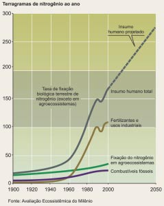 Sobrecarga de Nutrientes O homem dobrou o fluxo de nitrogênio reativo nos continentes.