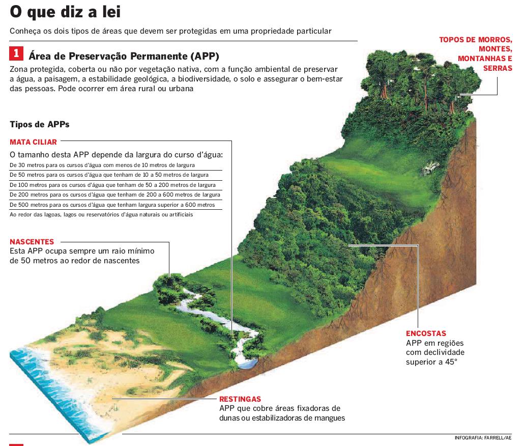 São as áreas protegidas da propriedade. Elas não podem ser desmatadas e por isso são consideradas Áreas de Preservação Permanente (APPs).