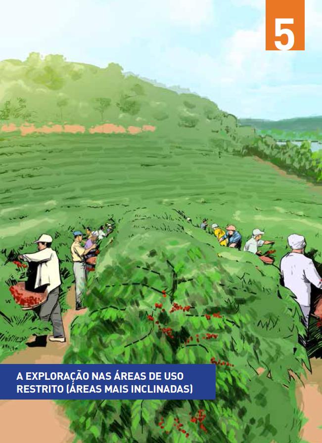 Uma parte dos agricultores familiares desenvolve desde há muito tempo suas atividades em áreas mais inclinadas.