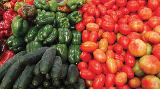 Dieta Mediterrânica como uma solução integrada de poupança Dieta Mediterrânica A dieta mediterrânica carateriza-se pela utilização abundante de produtos de origem vegetal,