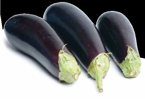 12 1 Berinjela ome popular Berinjela ome científico - Solanum melongena L. Descrição É uma planta arbustiva, resistente e vigorosa. Produzem frutos roxo-escuros ou quase negros.