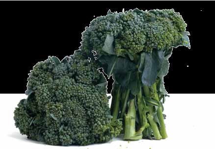 15 1 Brócolis ou couve-brócolos ome popular Brócolis, brócoli, brócolos ou couve-brócolos ome científico - Brassica oleracea L. var.