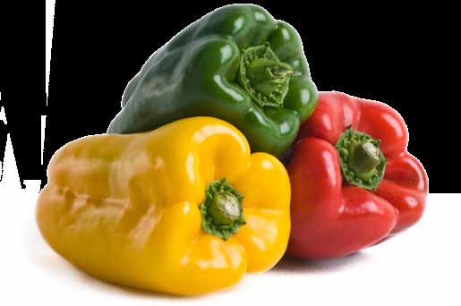 142 Pimentão ome popular Pimentão ome científico Capsicum annuum L. Descrição O pimentão é uma das hortaliças mais ricas em vitamina C e, quando maduro, é excelente fonte de vitamina A.