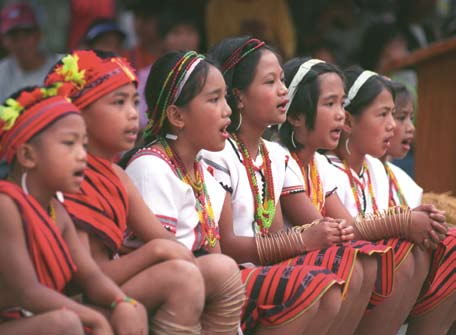 entre religiões e provocar dissensões no seio das sociedades. Deve assinalar-se a tendência de equiparar a diversidade cultural com a diversidade de culturas nacionais.