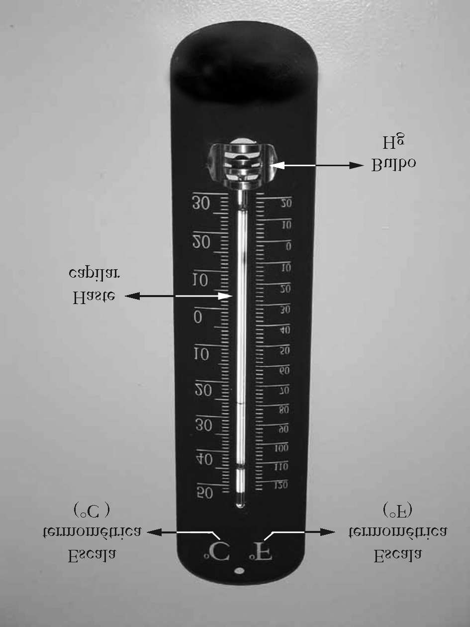 102 Pires et al. mento para medir a temperatura dos corpos.