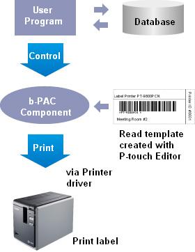 Estrutura de funcionamento do b-pac Configuração do b-pac Controlb-PAC 3.0 SDK Configuração Quando o Brother b-pac SDK está instalado, os arquivos são copiados para as seguintes pastas.