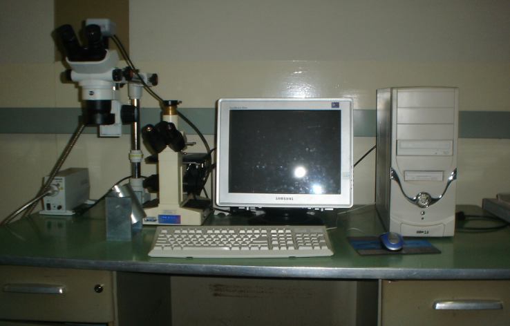 59 e) Desgaste das ferramentas: o monitoramento do desgaste dos insertos foi feito ao final de cada teste por meio de um estéreo microscópio marca Olympus modelo SZ6145TR, com aumento de 45 x