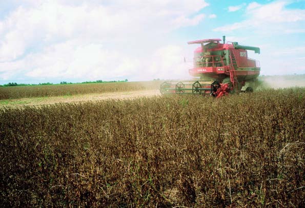 DE ONDE BROTAM AS SEMENTES p. 21 de um processo de investigação e tomada de decisões acerca das bases do conhecimento e informação que aportam diferentes disciplinas.