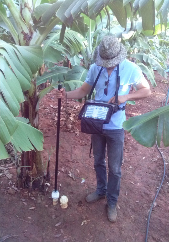 Foto: Paulo Augusto Pereira Figuras 4. Uso do método do tato para determinação da umidade do solo Foto: Tibério S. M. Silva Distribuição de raízes de fruteiras Figura 2.