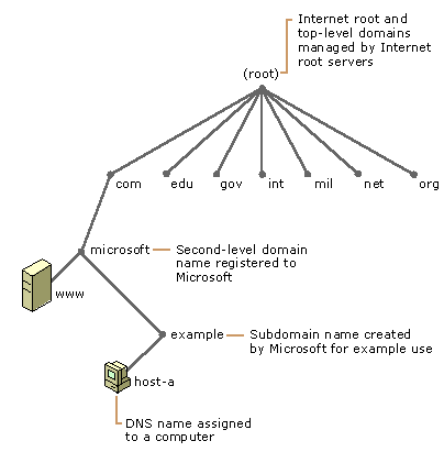Arquitectura TCP/IP A figura mostra como os servidores raiz da Internet atribuem autoridade à
