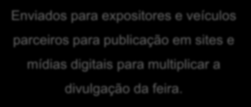 publicação em sites e mídias digitais