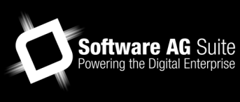 COLLABORATIVE PROCESS ANALYSIS PORTFOLIO MANAGEMENT PROCESS AUTOMATION AND INTEGRATION INTELLIGENT BUSINESS OPERATIONS AND BIG DATA ARIS Business Process Analysis ALFABET IT Planning and Portfolio