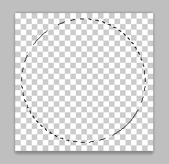 Com a ferramenta de seleção Elíptica, crie uma seleção circular (pressione SHIFT para que ela fique perfeita).