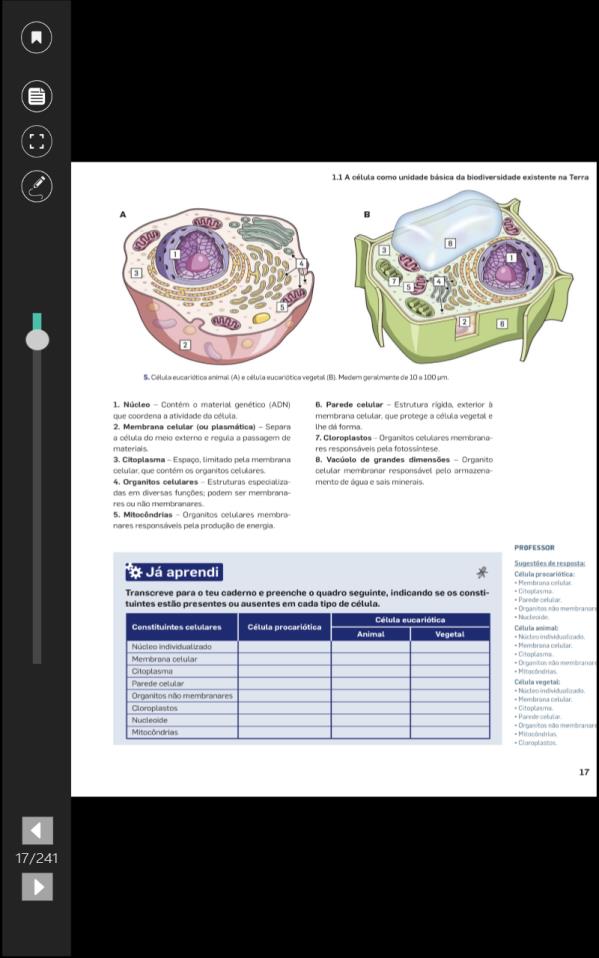 visualizadas no formato horizontal ou vertical,