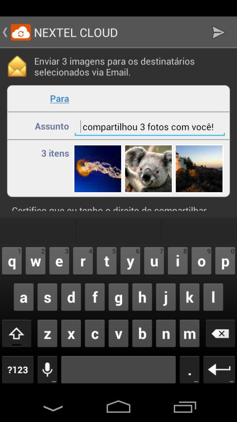 3.2.2 Compartilharlhar Imagens do Nextel Cloud Clique no Botão Compartilhar, selecione as Imagens desejadas e escolha o canal: Escolha entre as opções de compartilhamento: Compartilhar via Email,