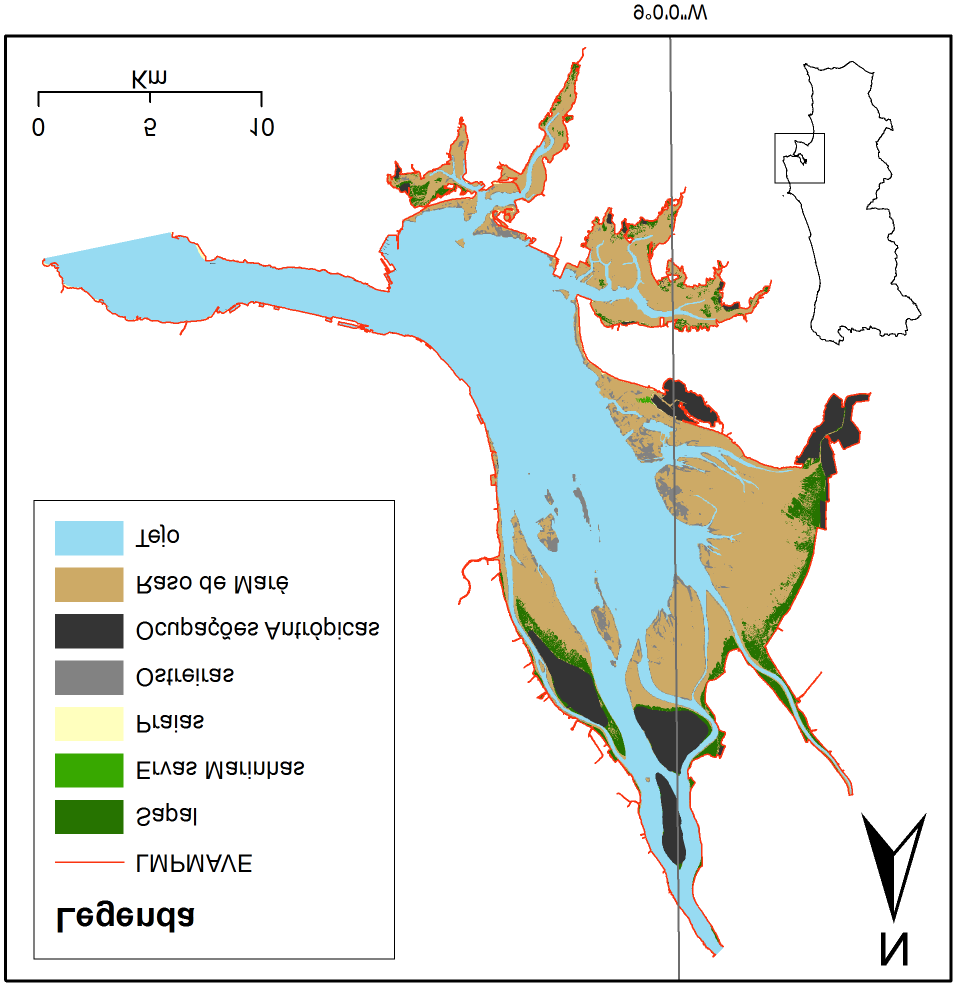 CARTOGRAFIA DO INTERTIDAL Classe Área (ha) % Leito 33986 100 Tejo 19383 57,03 Intertidal 14602 42,97 Raso de