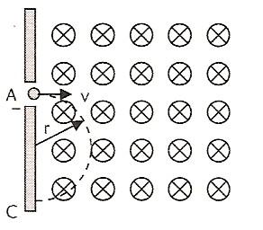 12.5. (Fuvest) Uma bússola é colocada sobre uma mesa horizontal, próxima a dois fios compridos, F1 e F2, percorridos por correntes de mesma intensidade.