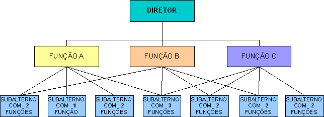 Organograma 4: Estrutura Funcional 1 1 Para cada