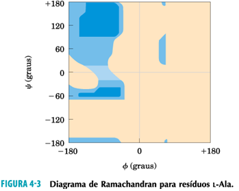 Diagrama de Ramachandran Devido a restrições espaciais, nem todos os ângulos são possíveis Impedimento estérico: dois átomos não podem ocupar o mesmo lugar