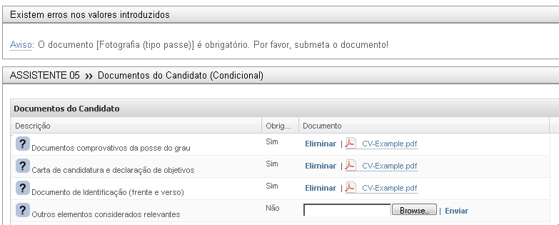 indicado no rodapé desta etapa. No caso de o documento ser composto por vários ficheiros, é necessário agrupa-los num único ficheiro, recorrendo a uma ferramenta como o ZIP.