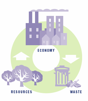 Capital natural Nos últimos 30 anos: A área ocupada pelos ecossistemas naturais decresceu 33%; O consumo de recursos aumentou 50%; Capacidade de carga do planeta excedida em cerca de 30%.