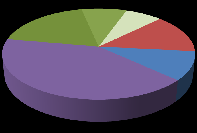 2005 2006 14,5% 5,5% 3,4% 18,9% 8,8% 7,2% 13,9% 57,2% 11,5% 10,1% 7,8% 41,0% 2007 2008 28,7% 5,3% 8,8% 8,7% 9,8% 38,9% 34,5% 35,8% 5,1% 6,8% 9,0% 8,8% 2009 2010 25,4% 4,7% 4,2% 40,0% 28,2% 6,8% 8,9%