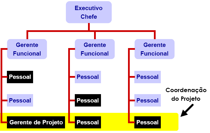 Organizações Matriciais Influências