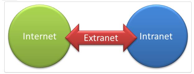 Extranet Tem como característica de ser a extensão da Intranet; Quando alguma informação dessa intranet é disponibilizada a clientes ou fornecedores, essa rede passa a ser chamada de extranet.