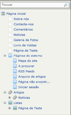 CONFIGURAÇÕES DA PÁGINA Este menu tem também várias opções que permitem controlar a página e o site. PUBLICAR Esta opção permite publicar as alterações que faz em cada uma das páginas.