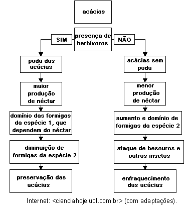 164 37. (Enem 2008) Os ingredientes que compõem uma gotícula de nuvem são o vapor de água e um núcleo de condensação de nuvens (NCN).