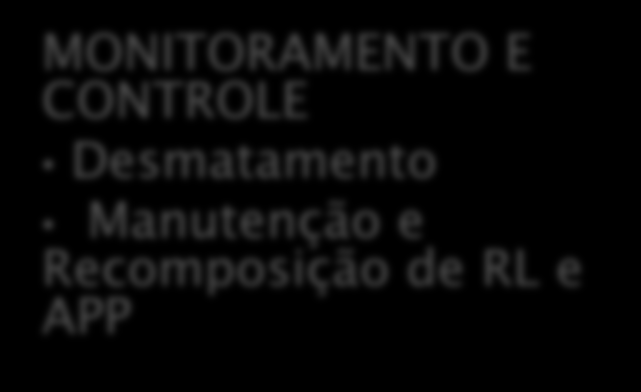 CAR ESTRATEGIA DA POLITICA DE ORDENAMENTO DIAGNÓSTICO AMBIENTAL Titularidade Limites do imóvel Reserva Legal APP REGULARIZAÇÃO DOS IMÓVEIS Recomposição de RL e APP Compensação de RL Licenciamento