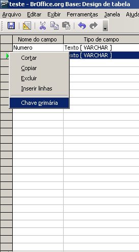 Nesta janela clique em Chave primária. Em seguida aparecerá uma chave no seletor informando que neste campo está inserida a chave primária.