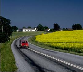 8 Benefícios básicos Os PORTADORES podem obter o Seguro de Locação de Veículos, sem custo adicional, todas as vezes que alugarem um carro usando seu Cartão Visa Platinum.