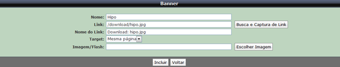 Para incluir um novo banner, clique no ícone Incluir. Na página que se abre, preencha os campos indicados.