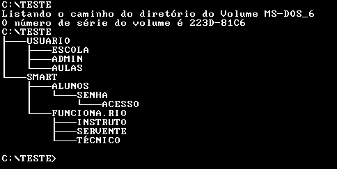 Como se faz com as pastas de escritório, o DOS identifica os arquivos por nomes arbitrários escolhidos pelo usuário, como SMART, CLIPPER, DELPHI, etc.