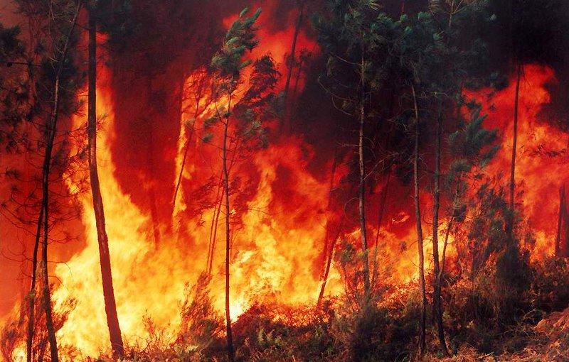 Conceitos Fogo COMBUSTÍVEL COMBURENTE CALOR Incêndio: Fogo