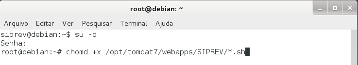 (15) Teste se o Apache Tomcat está funcional.