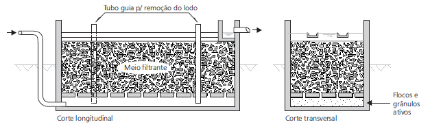 Filtro de fluxo ascendente, fundo falso, coleta do efluente em
